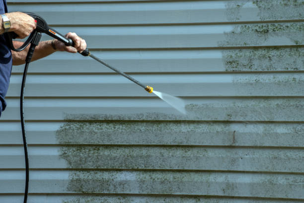 Best Roof Pressure Washing  in Dane, WI