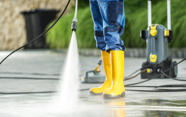 Best Exterior Home Cleaning  in Dane, WI